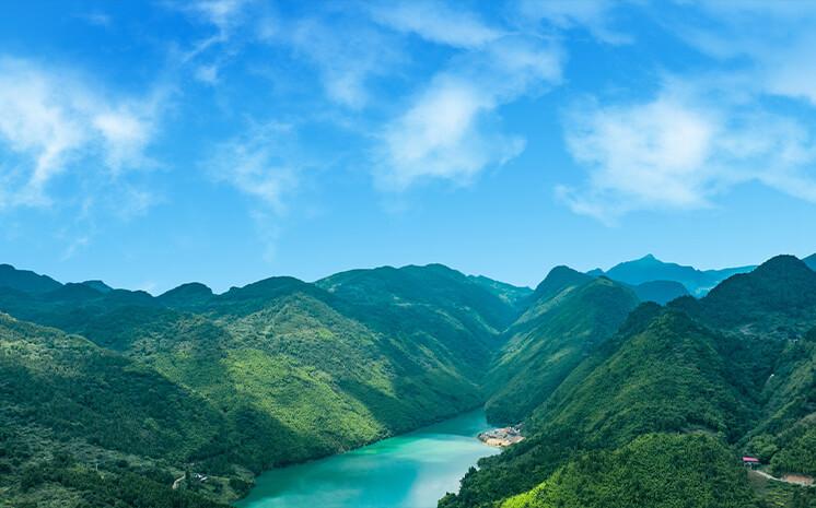 Carbon Neutrality Strategy